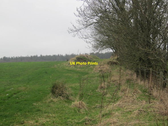 Photo 6"x4" Farmland and Woodland neat Grange of Cree Creetown c2014
