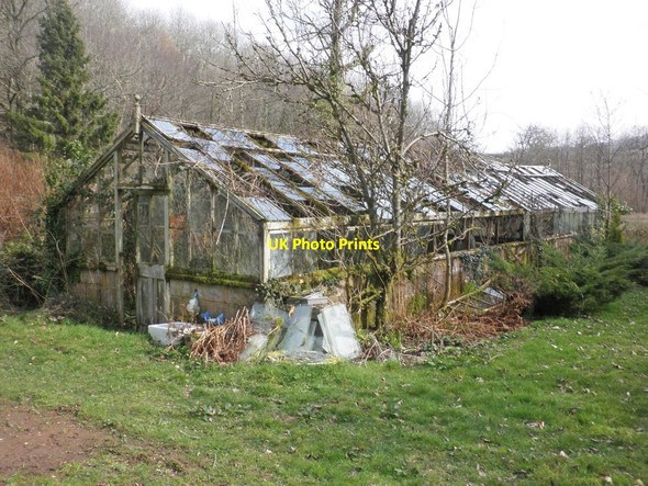 Photo 6"x4" Abandoned glasshouse Clatworthy\/ST0530 c2014