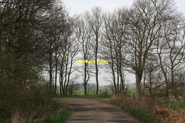 Photo 6"x4" Scawcett Lane West Carr\/SE7407 c2014