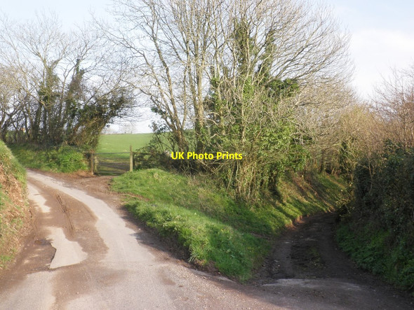 Photo 6"x4" Former quarry track Brompton Ralph c2014