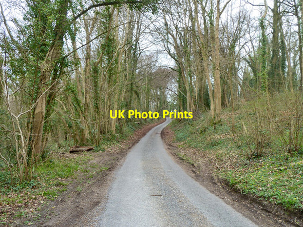 Photo 6"x4" Glidden Lane Rushmore c2014