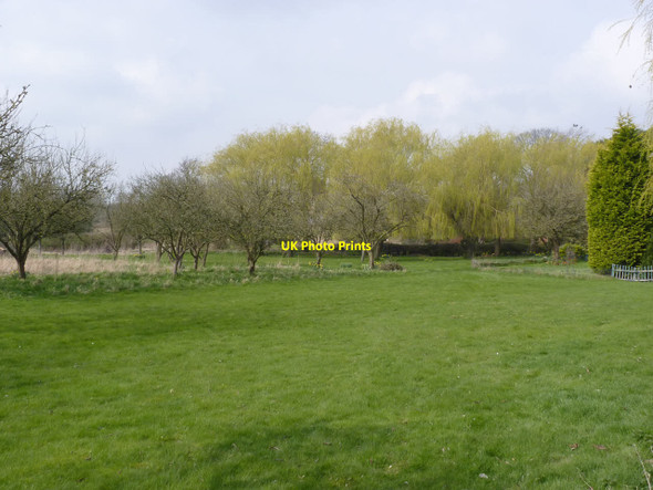 Photo 6"x4" Orchard at The Old Rectory, Wyfordby Wyfordby c2014