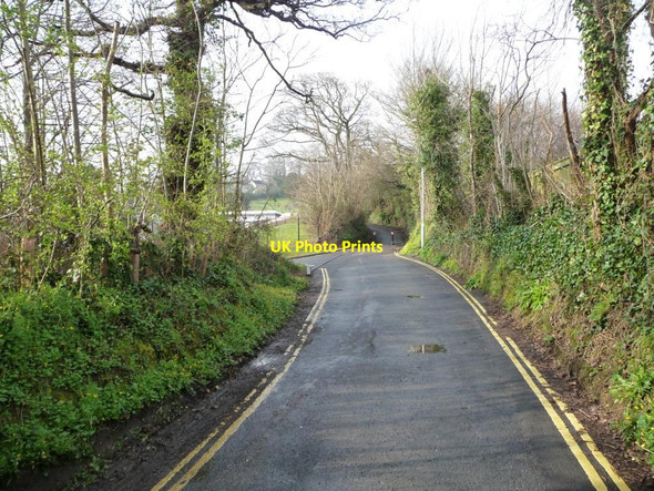 Photo 6"x4" Exwick Lane [1] Exeter c2014