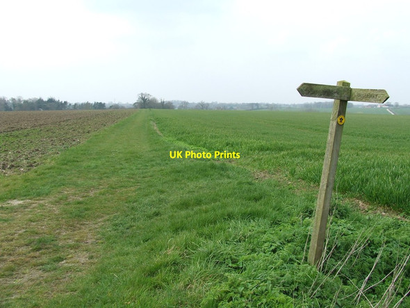 Photo 6"x4" Footpath Junction Framlingham c2014