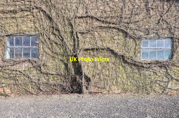 Photo 6"x4" Detail of a farm building Hinton\/SO6803 c2014
