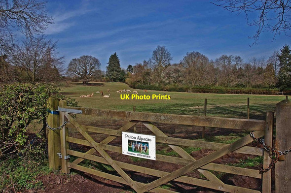 Photo 6"x4" Entrance to Palton Alpacas, Trimpley, Worcs Holbeache c2014
