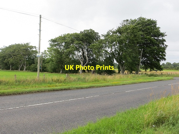 Photo 6"x4" Feeny Road Dungiven c2013