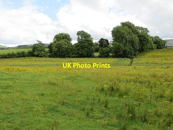 Photo 6"x4" Grass fields off Altinure Road Feeny c2013