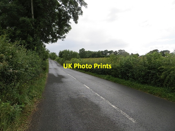 Photo 6"x4" Altinure Road Feeny c2013