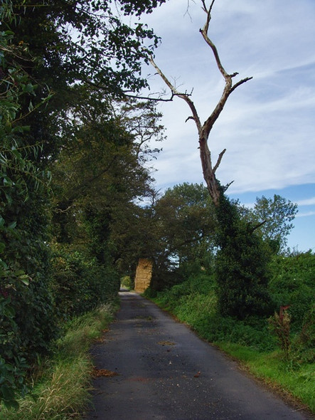 Photo 6"x4" Lane, near Barrow Barrow upon Humber c2008