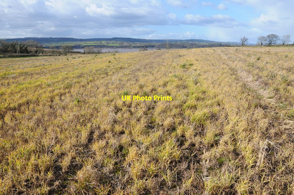Photo 6"x4" View over the River Severn Brookend\/SO6802 c2014