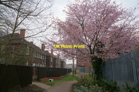 Photo 6"x4" Footpath leading to Sykes Street, Hull Kingston upon Hull c2014