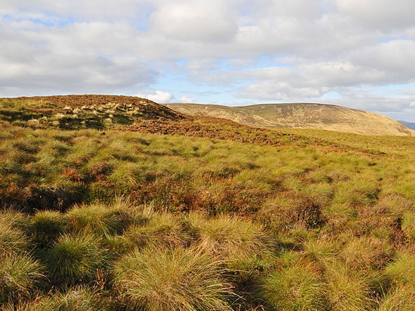 Photo 6"x4" Moorland near the top of an unnamed hill Corriebeagh Burn c2008