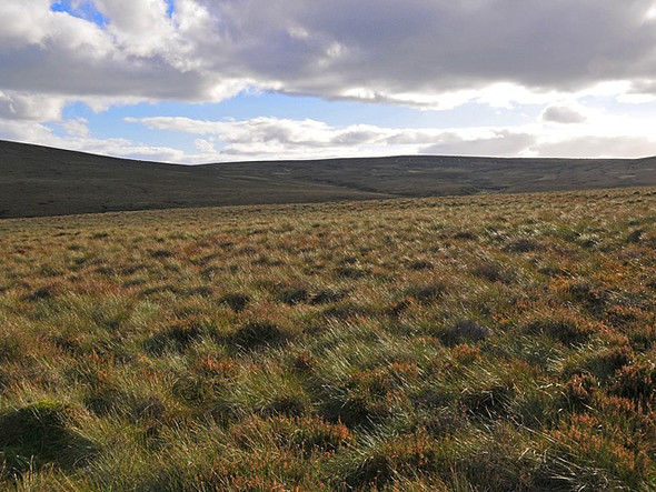 Photo 6"x4" Moorland and Bog Arrevore Burn c2008