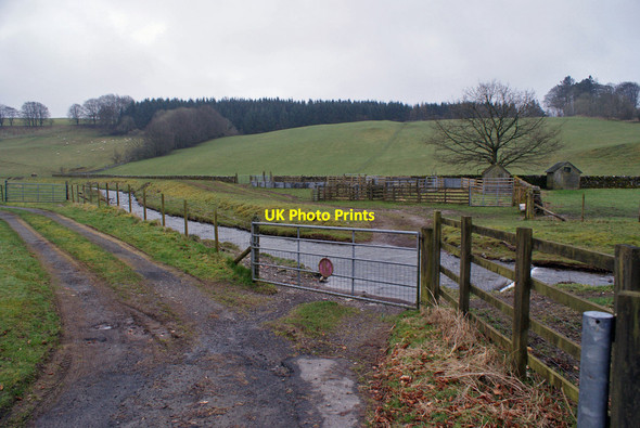 Photo 6"x4" Gated ford Boreland\/NY1791 c2014