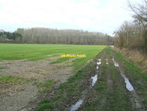 Photo 6"x4" Muddy Field Boundary Hacheston c2014