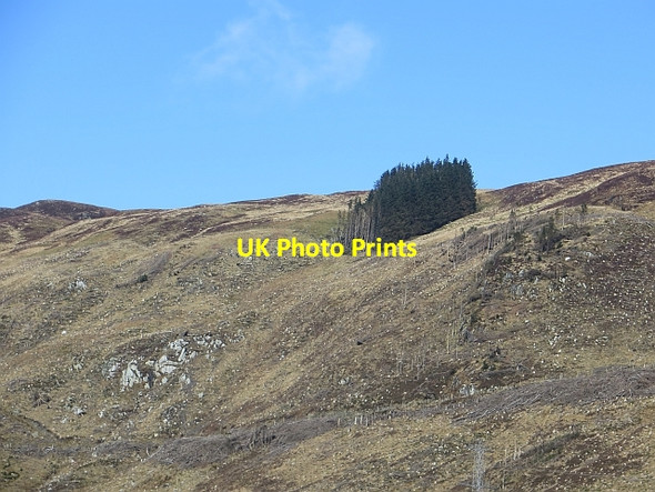 Photo 6"x4" Felled woodland, Gleann Dubh Loch Dubh\/NN4003 c2014