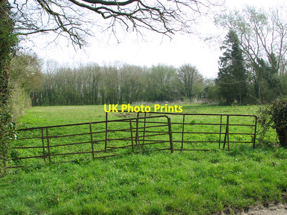 Photo 6"x4" Gate into pasture by Chestnut Tree Farm Bustard's Green c2014