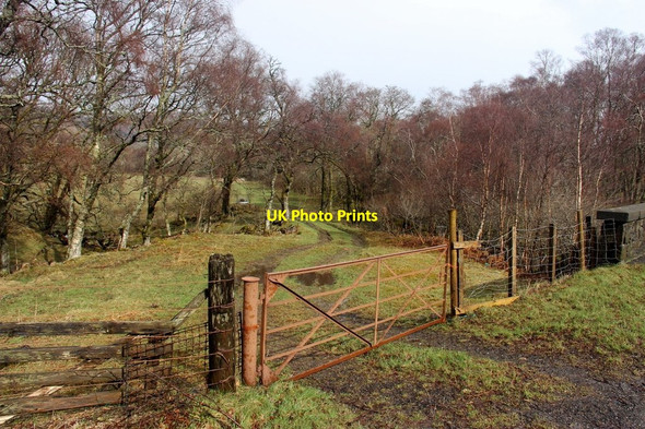Photo 6"x4" Field access at Edravinoch off the A85 Auchlyne c2014