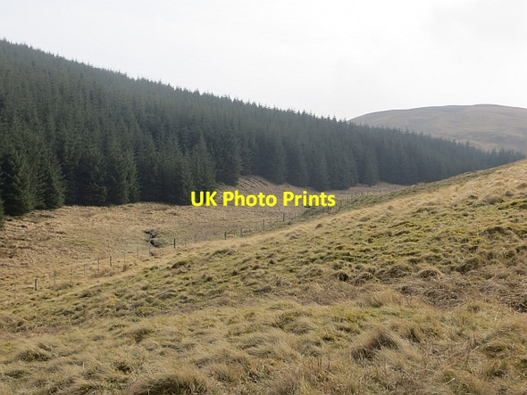 Photo 6"x4" Along the Fingland Burn Glenbreck c2014