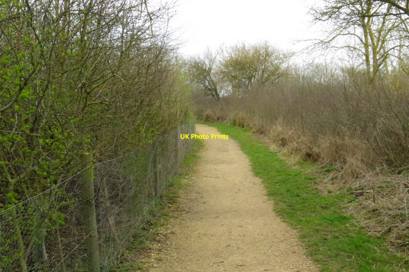 Photo 6"x4" Path to Tar Lakes Hardwick\/SP3806 c2014