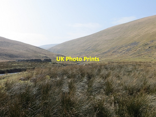 Photo 6"x4" Carse Hope Catlow Dod c2014