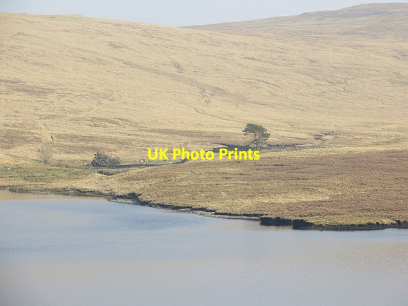 Photo 6"x4" Crook Burn and Daer Reservoir Nether Law c2014