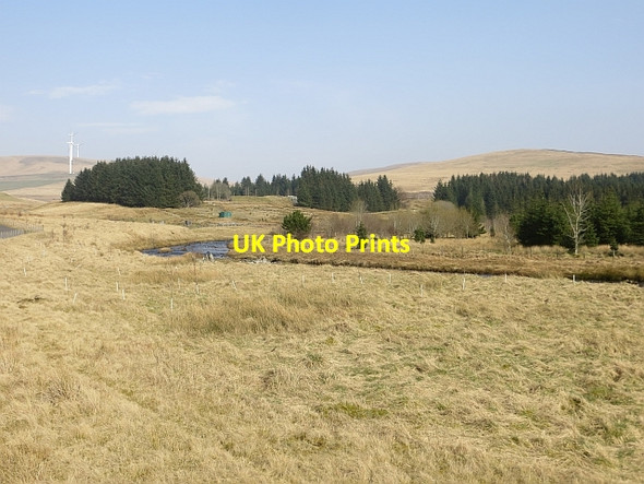 Photo 6"x4" Daer Water Lion Hill c2014