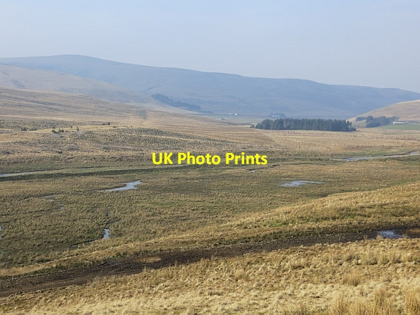 Photo 6"x4" Wetland, Daer  Water Allershaw Burn c2014