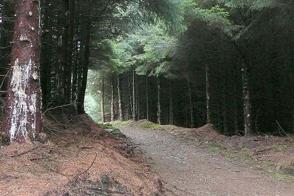 Photo 6"x4" Below Mynydd Gethin Abercanaid c2008