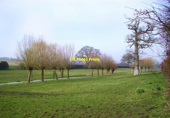 Photo 6"x4" Willows by the Winterbourne Winterbourne\/SU4572 c2014