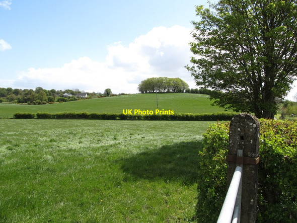 Photo 6"x4" A hill top copse south of Kingsmill Road Kingsmills c2012