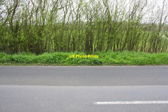 Photo 6"x4" Old gatepost in hedge beside road into Chalgrove Chalgrove c2014