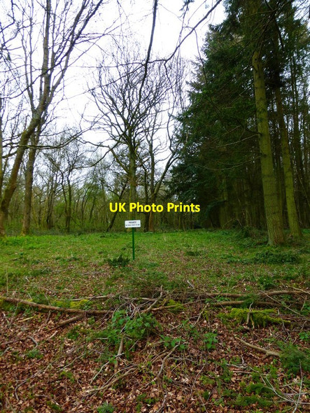 Photo 6"x4" Private track in Barton Copse Upper Wield c2014