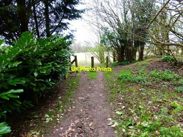 Photo 6"x4" Restricted byway reaches western edge of Wield Wood Upper Wield c2014