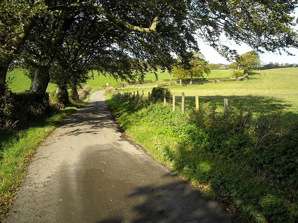 Photo 6"x4" Craigend Road Auldhouse c2008