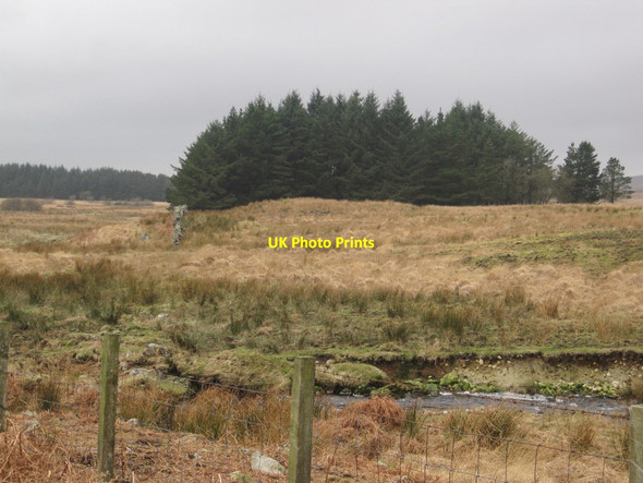 Photo 6"x4" Moneypool Burn and Edge of Forest Craig Hill\/NX5263 c2014