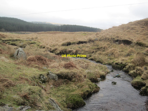 Photo 6"x4" Unnamed Burn above Dromore Russon Burn c2014