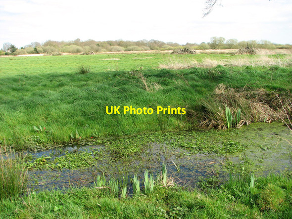 Photo 6"x4" Pastures in South Fen East Ruston c2014