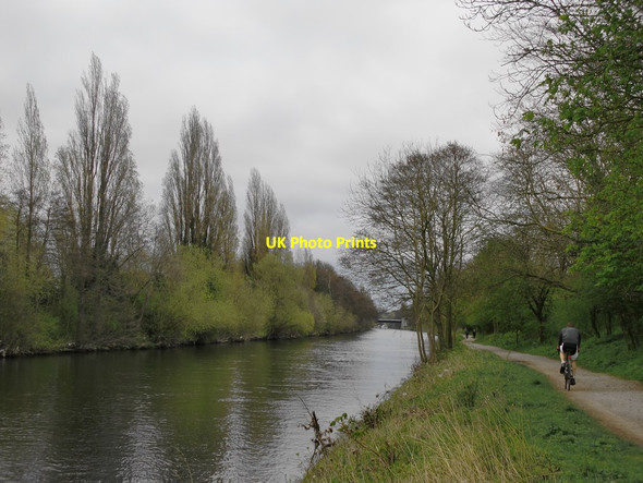 Photo 6"x4" The Desborough Channel and Thames Path Weybridge c2014