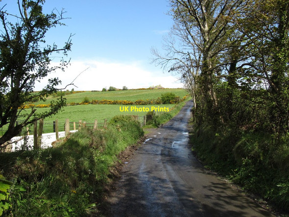 Photo 6"x4" Buchanans Road rising from the cross roads Jerrettspass c2012