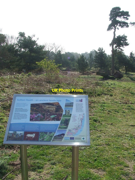 Photo 6"x4" Information Board Sutton\/TM3045 c2014