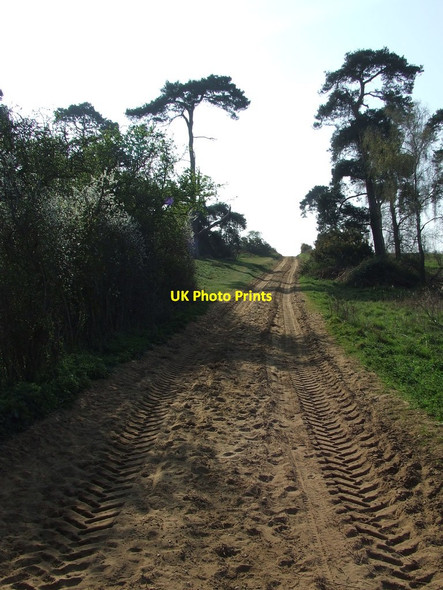 Photo 6"x4" Sandy Track Sutton\/TM3045 c2014