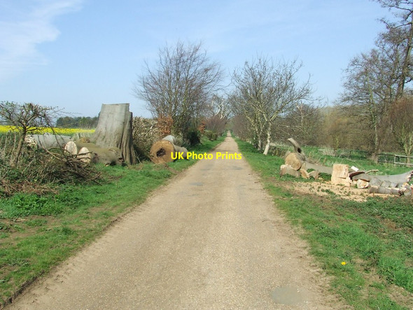 Photo 6"x4" Farm Road Methersgate c2014