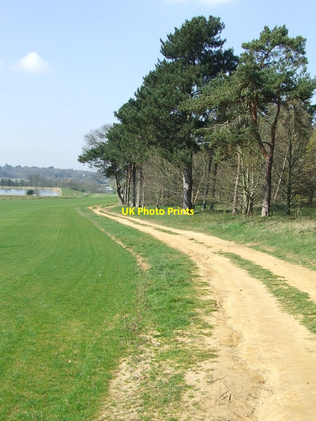 Photo 6"x4" Sandy Track Woodbridge\/TM2649 c2014