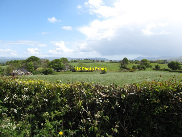 Photo 6"x4" Hay meadows between Derrywilligan Road and the B133 Jerrettspass c2012