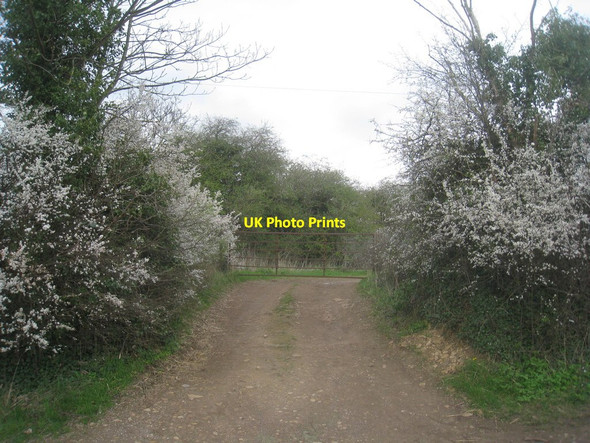 Photo 6"x4" Field entrance Tickhill\/SK5993 c2014
