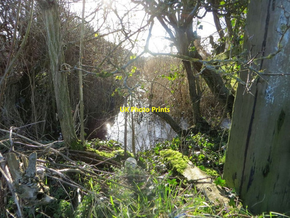 Photo 6"x4" Water in the ditch Wallingford c2014