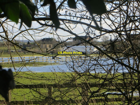 Photo 6"x4" Flooding through the trees Wallingford c2014