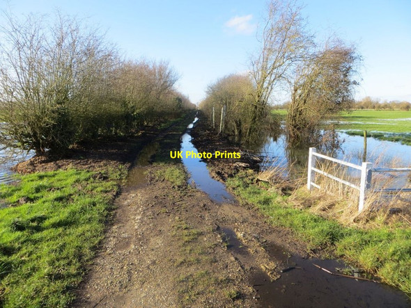 Photo 6"x4" Muddy Track Wallingford c2014